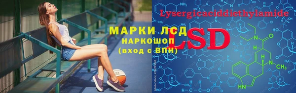 таблы Гусев