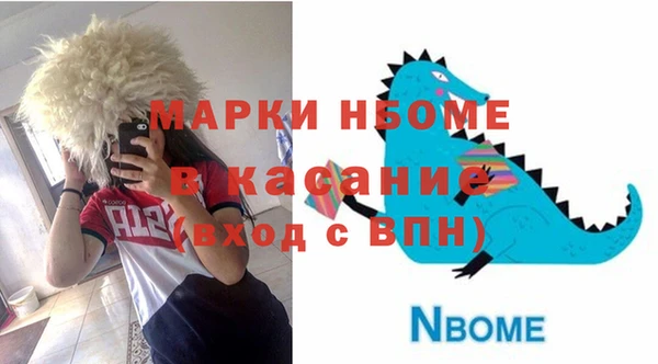 таблы Гусев