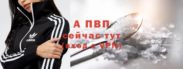 гидра Гусь-Хрустальный
