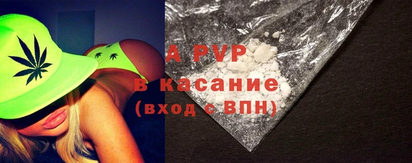 гидра Гусь-Хрустальный