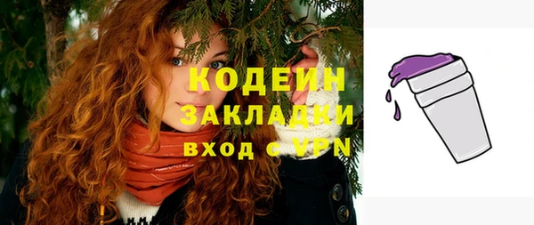 таблы Гусев