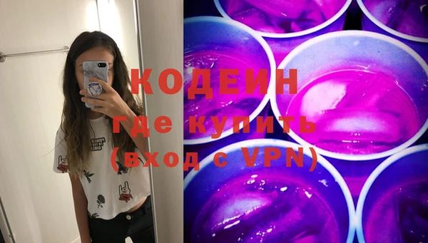 таблы Гусев