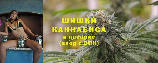 таблы Гусев