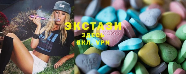 таблы Гусев