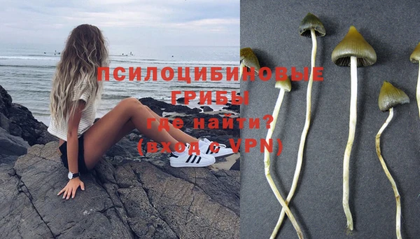 хмурый Гусиноозёрск