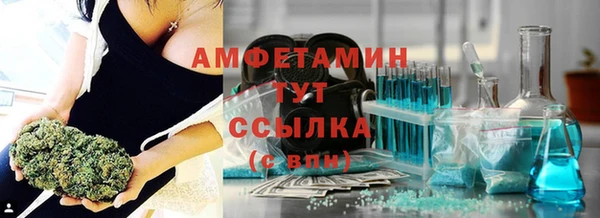 гидра Гусь-Хрустальный