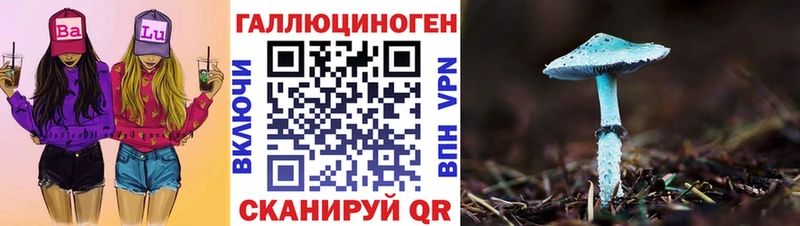 Купить где  Кадников  Псилоцибиновые грибы Magic Shrooms 